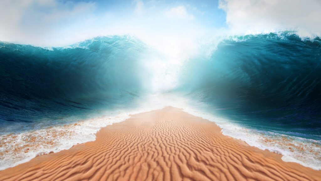 opensea-drops-fees-to-zero-and-announces-new-creator-earnings-model-in-response-to-shifting-nft-landscape