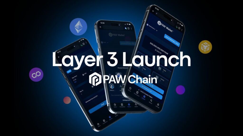 groundbreaking-launch:-paw-chain-unveils-the-world’s-first-layer-3-centric-blockchain