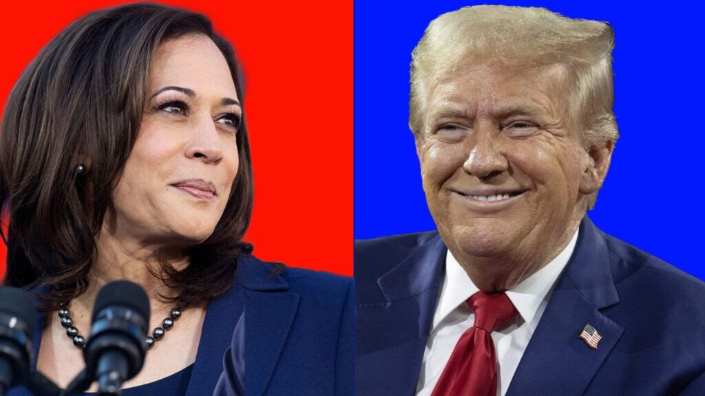 betting-markets-and-polls-show-harris-ahead-of-trump-as-election-nears